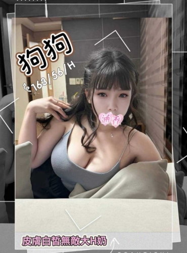 狗狗